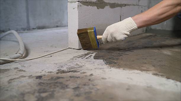 SJ Waterproofing Pros Basement Waterproofing coverage map for Friesland, WI and surrounding area